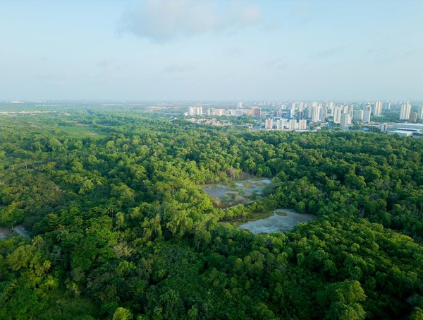 Découverte de chatgpt : l'ia au service client