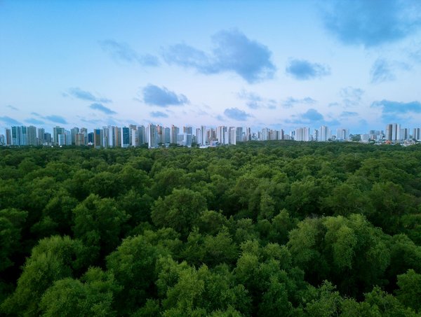 Aménagement intérieur : des idées de déco pour une chambre manga